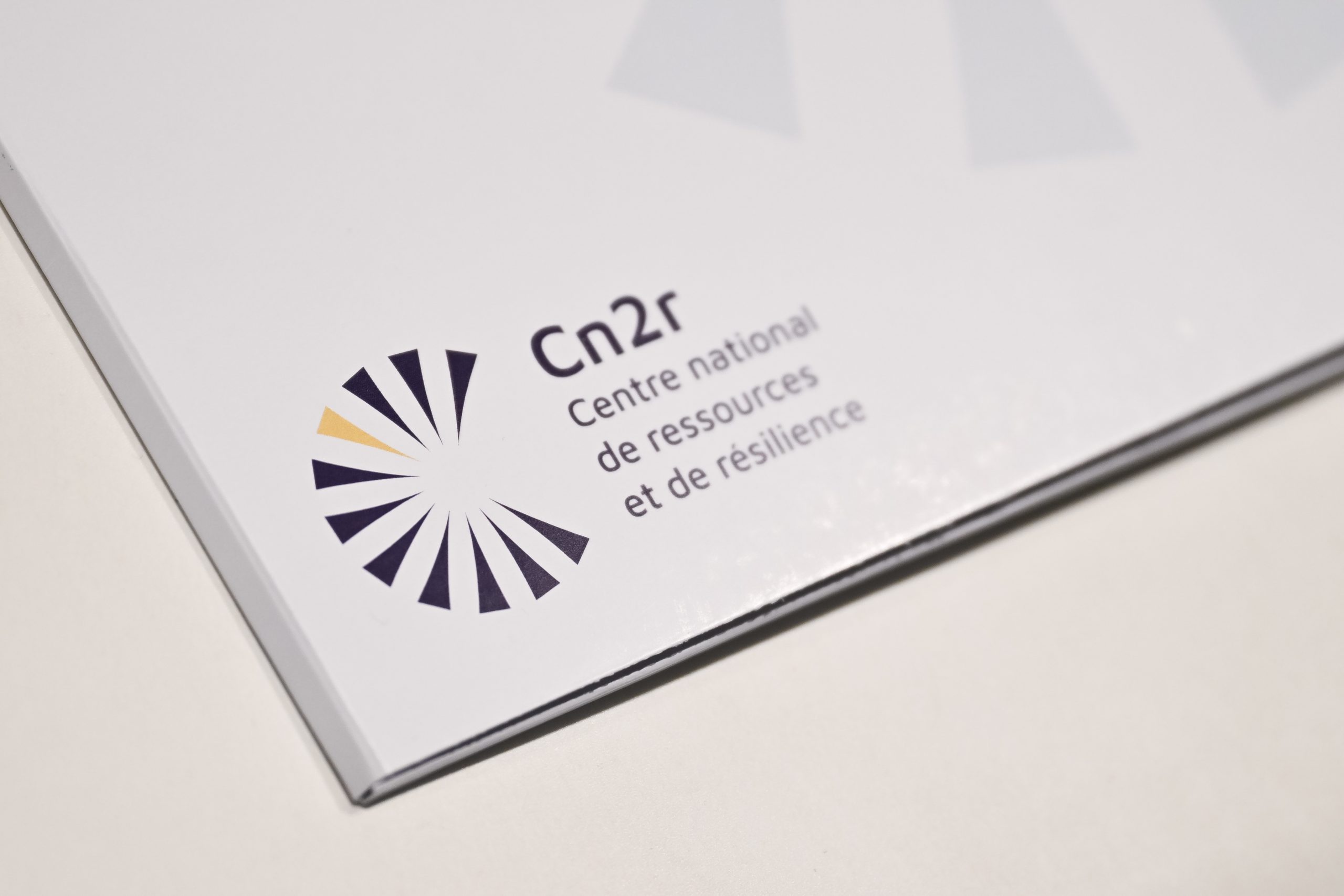 Le Cn2r reconduit pour 5 ans : une confiance renouvelée