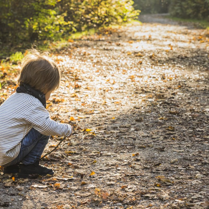 baby playing forest path autumn - Cn2r