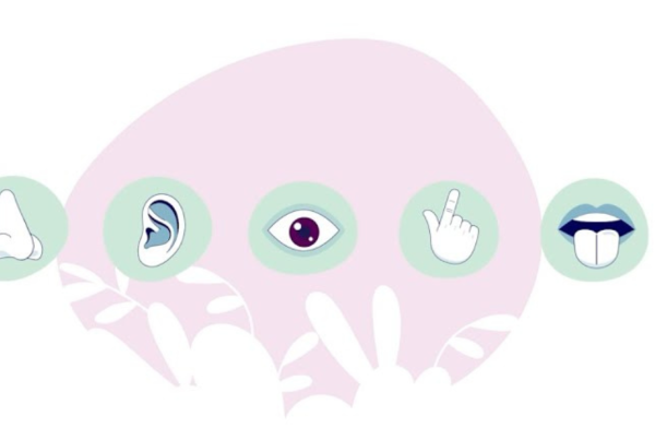 Design sans titre - Cn2r