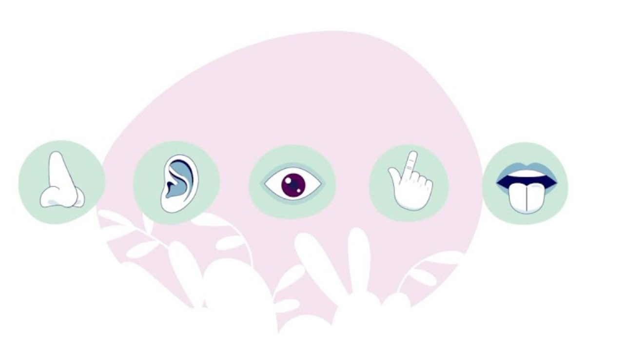 Deuxième partie de la série de #TROMA, le psychotrauma en images !