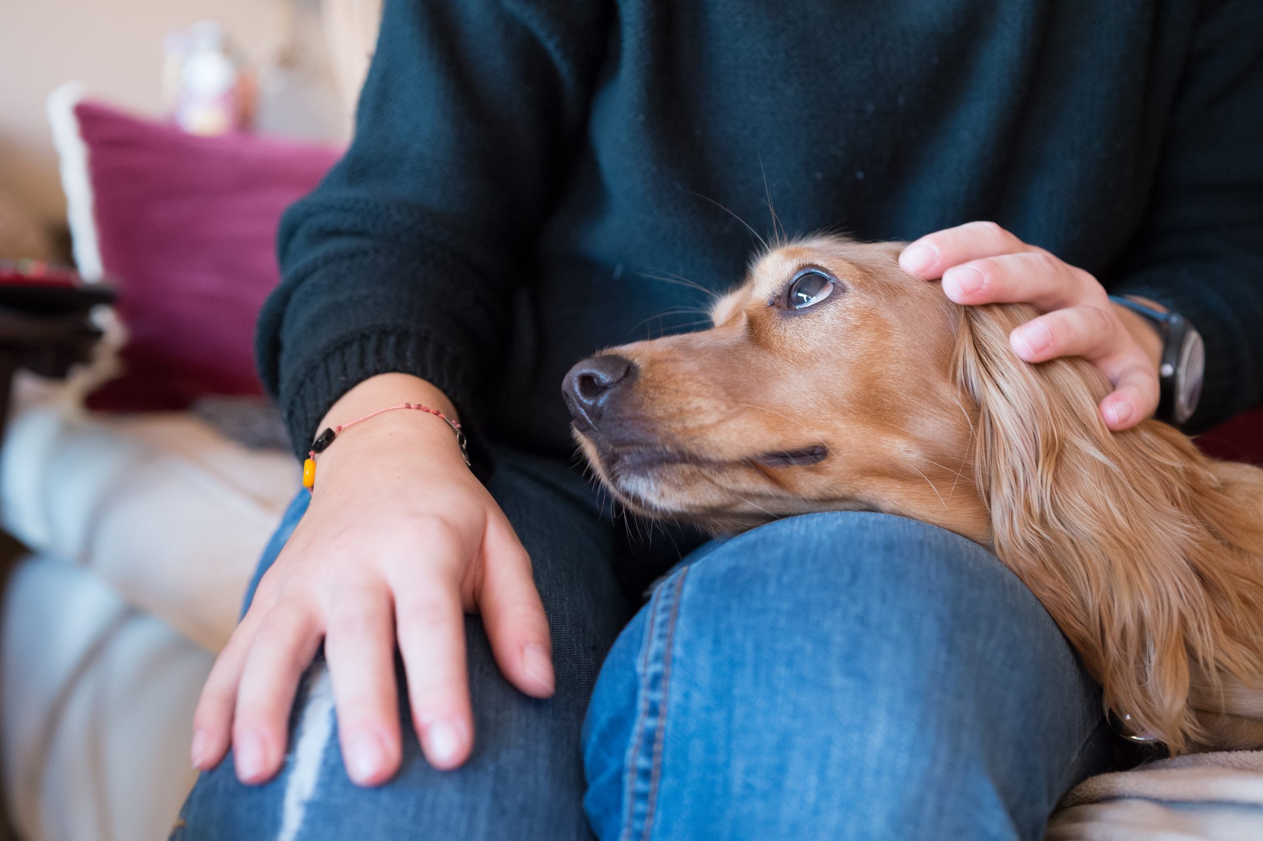 close up woman with dog scaled - Cn2r